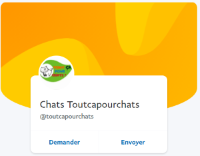 Le compte Paypal.Me de « Tout ça pour chats ! »