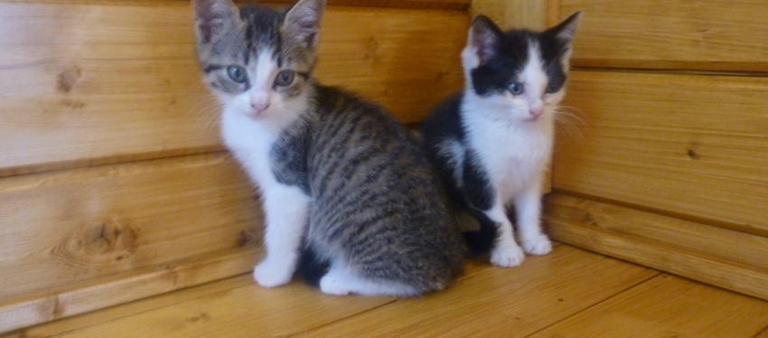 Au coin, les bébés !